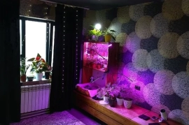 Продам, Продам свою 1 комнатную квартиру. Без посредников. 1 этаж