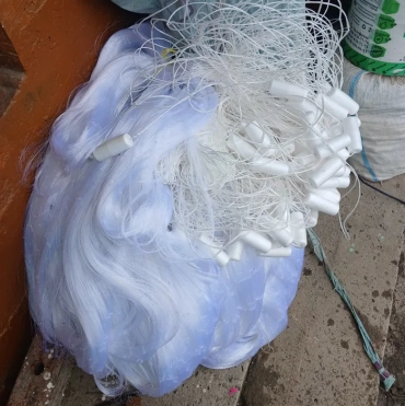 Продам, Хамелеон Тор Сетка. Таиланд.