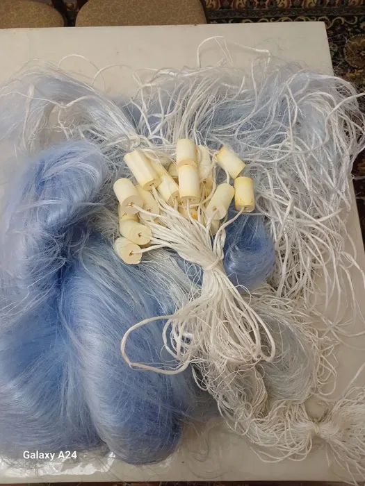 Хамелеон Тор Сетка. Таиланд.