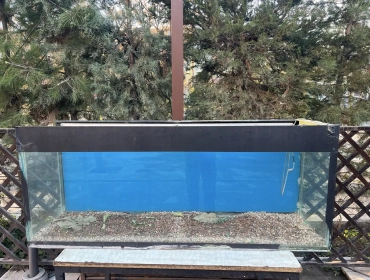 Продам, Продаётся аквариум,состояние среднее,вода не протекает.