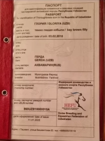 Продам, Ot sotiladi Продаётся лошадь