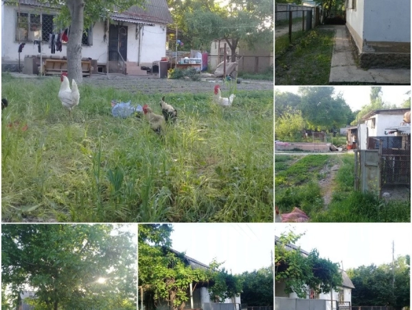 Тошкент вилояти, Янгийул тумани, Йӳгонтепа кфй саи