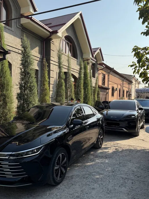 Rent a car Black авто прокат