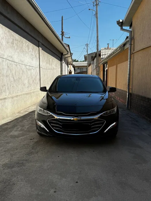 Rent a car Black авто прокат