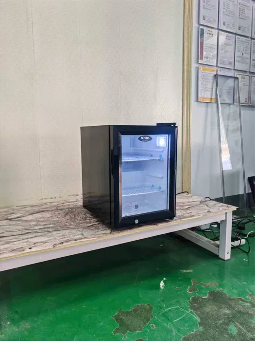 Холодильник мини Xolodilnik mini Muzlatgich