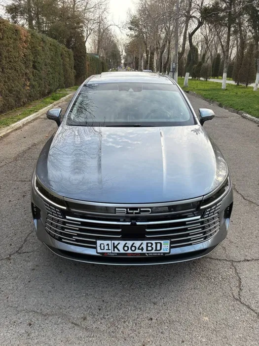 BYD Chazor Flag Ship. Full.