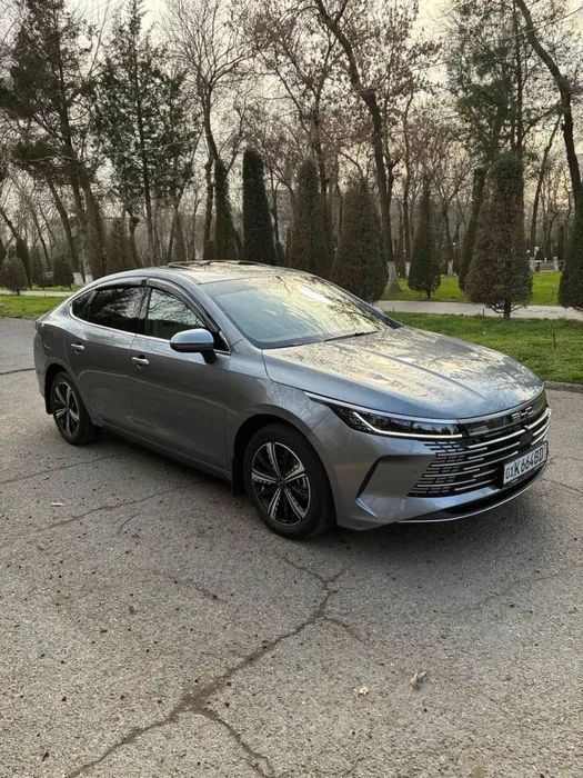 BYD Chazor Flag Ship. Full.