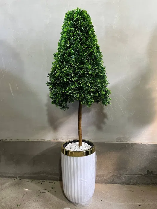 Dekorativniy gullar ofis va xonadonlar uchun eng yaxshi tanlov