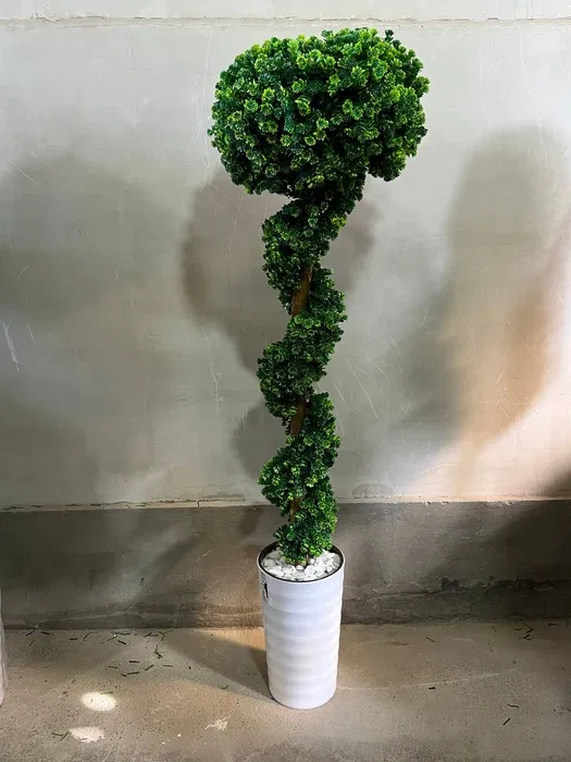 Dekorativniy gullar ofis va xonadonlar uchun eng yaxshi tanlov