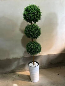 Продам, Dekorativniy gullar ofis va xonadonlar uchun eng yaxshi tanlov