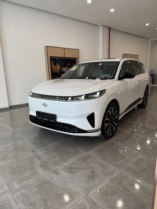 Dongfeng Ep 008 / 2026 - Starlight Motor