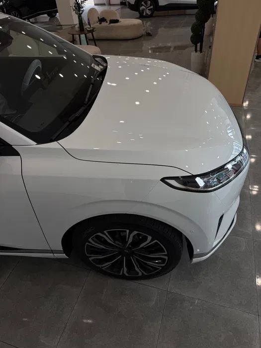 Dongfeng Ep 008 / 2026 - Starlight Motor