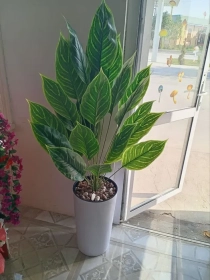 Продам, Навои шахр.Нархлари 160 мингдан бошлаб. Декоратив суний гуллар. Ассорт