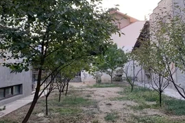 Продам, Продажа в престижной махалле Махатма Ганди-Дархан 6.1соток