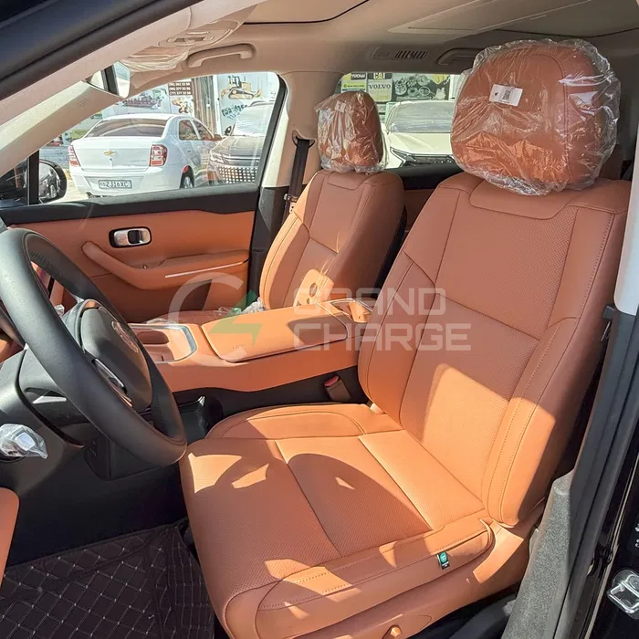 LEAPMOTOR C16 2026 qora