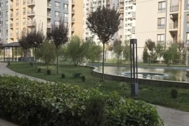 Sotaman, Kvartira sotiladi Olmazor sity Tashkent