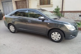 Sotaman, Cobalt 2020 metan gaz