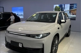 Sotaman, Leapmotor C10 530km dop opsiya