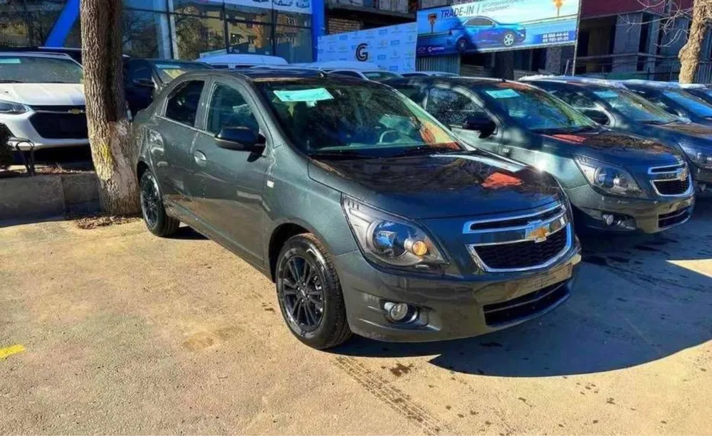 Cobalt 2025 midnight