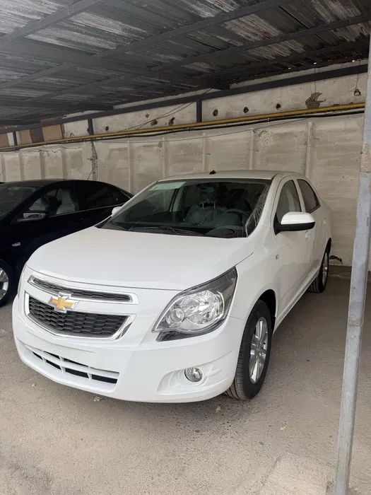 Cobalt style natarius ichida