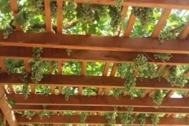 Продам, Загородный дом с пропиской. В сторону Паркента.