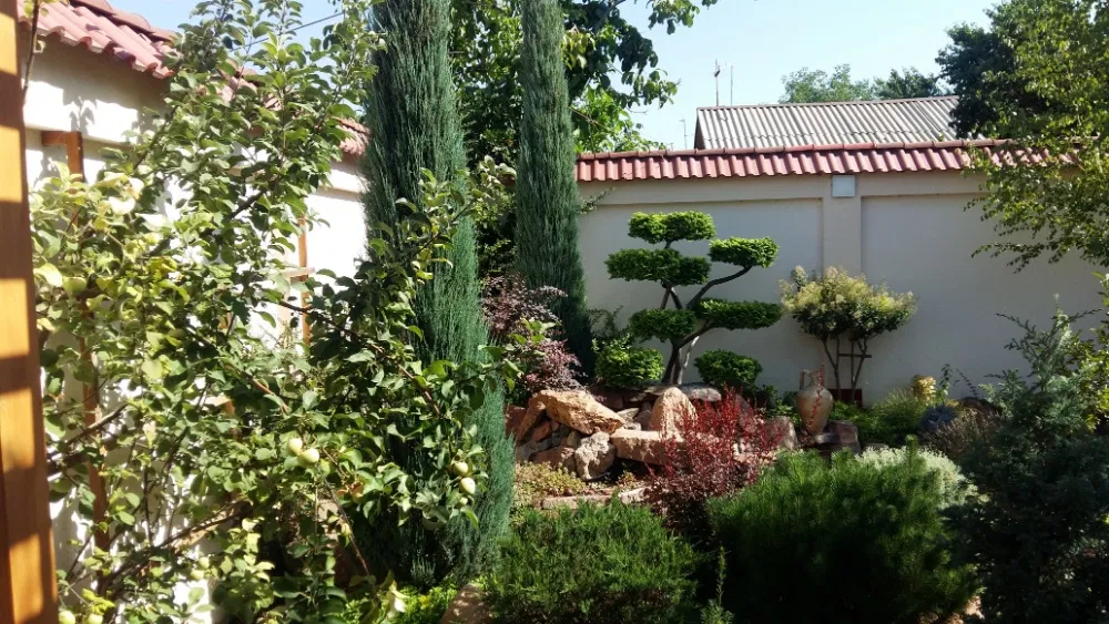 Загородный дом с пропиской. В сторону Паркента.