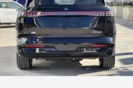 Sotaman, DONGFENG EP 008 .