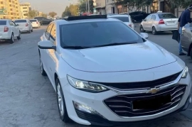 Sotaman, Malibu 2 primer full 