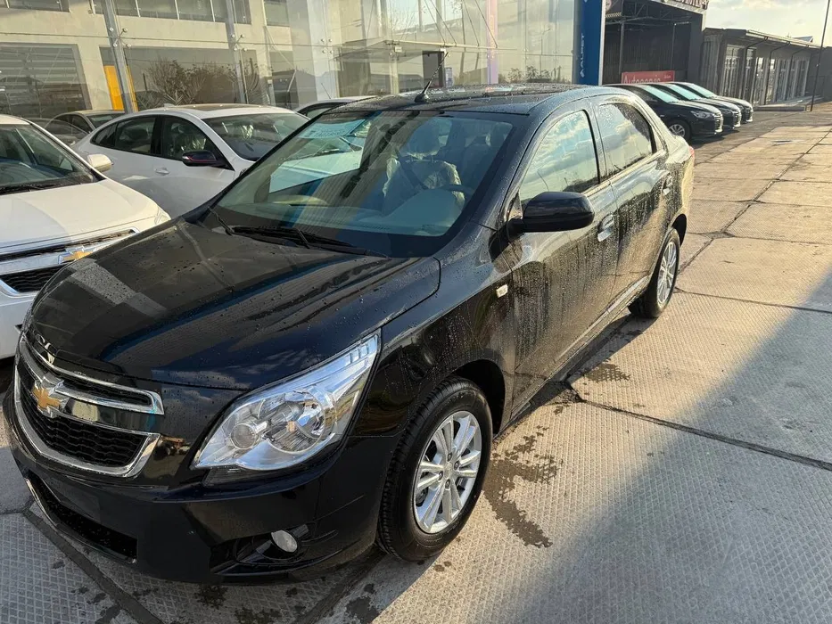 Кобалт MCM Stail 2025